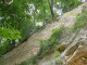 Thumbs/tn_DSC03146.jpg