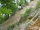 Thumbs/tn_DSC03147.jpg