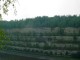 Thumbs/tn_DSC03153.jpg