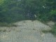 Thumbs/tn_DSC03155.jpg