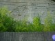 Thumbs/tn_DSC03166.jpg