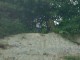 Thumbs/tn_DSC03172.jpg
