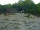 Thumbs/tn_DSC03177.jpg