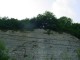 Thumbs/tn_DSC03198.jpg