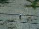 Thumbs/tn_DSC03201.jpg