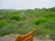 Thumbs/tn_DSC00878.jpg