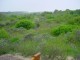 Thumbs/tn_DSC00879.jpg