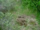 Thumbs/tn_DSC00880.jpg
