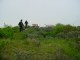 Thumbs/tn_DSC00882.jpg
