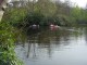 Thumbs/tn_DSC06408.jpg