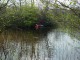 Thumbs/tn_DSC06409.jpg