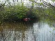Thumbs/tn_DSC06410.jpg