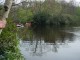Thumbs/tn_DSC06416.jpg