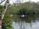 Thumbs/tn_DSC06417.jpg