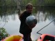 Thumbs/tn_DSC06429.jpg