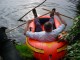 Thumbs/tn_DSC06440.jpg
