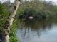 Thumbs/tn_DSC06449.jpg
