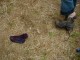 Thumbs/tn_DSC06456.jpg