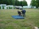 Thumbs/tn_DSC01690.jpg