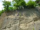 Thumbs/tn_DSC01742.jpg
