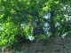 Thumbs/tn_DSC01746.jpg