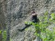Thumbs/tn_DSC01753.jpg