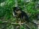 Thumbs/tn_DSC01754.jpg