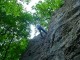 Thumbs/tn_DSC01771.jpg