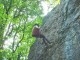 Thumbs/tn_DSC01773.jpg