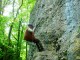 Thumbs/tn_DSC01774.jpg