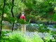 Thumbs/tn_DSC01775.jpg
