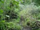 Thumbs/tn_DSC03603.jpg