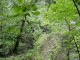 Thumbs/tn_DSC03604.jpg