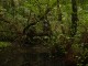 Thumbs/tn_DSC03607.jpg