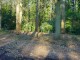 Thumbs/tn_DSC05418.jpg