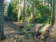 Thumbs/tn_DSC05419.jpg
