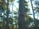 Thumbs/tn_DSC08383.jpg