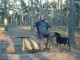 Thumbs/tn_DSC08384.jpg