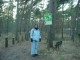 Thumbs/tn_DSC08387.jpg