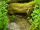 Thumbs/tn_DSC01624.jpg