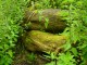 Thumbs/tn_DSC01625.jpg