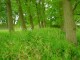 Thumbs/tn_DSC01626.jpg