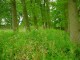 Thumbs/tn_DSC01627.jpg