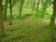Thumbs/tn_DSC01629.jpg