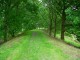 Thumbs/tn_DSC01634.jpg