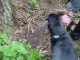 Thumbs/tn_DSC00730.jpg