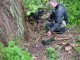 Thumbs/tn_DSC00731.jpg