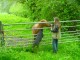 Thumbs/tn_DSC00737.jpg