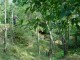 Thumbs/tn_DSC03216.jpg