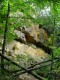Thumbs/tn_DSC03220.jpg